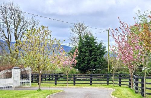 Kilgreaney Bed & Breakfast | Silvi's Guest House Borris Carlow