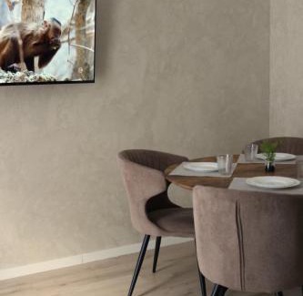 Sanmartin Apartment | Simba Apartments Baile Felix
