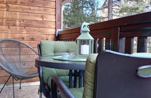 Kremna Cabin | Simic Apartmani Tara