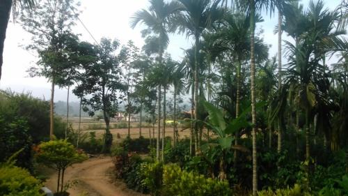 Bittangala House | Simply Coorg Estate Villa