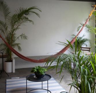 Roma Norte Apartment | SINALOA By Mr W