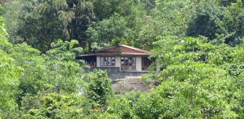 Yattapatha Ski Chalet | Singharaja Garden AGRO ECO Lodge
