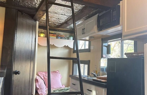 Pine City House | Singing Frog tiny home/spa/breakfast