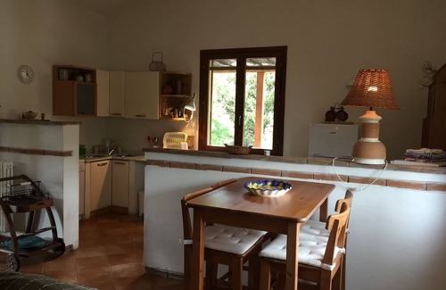 Riparbella Villa | Single Villa in the hills with private pool, garden and wood