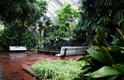 El Botanic Apartment | Singular Stays Botanico 202