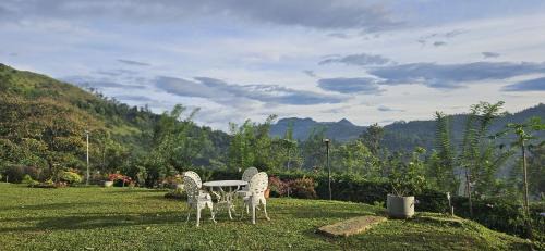 Hali-Ela Ski Chalet | Sithara Estate Cottage