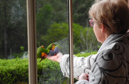 Mulgoa Cottage | “Six Oaks” Wilderness Retreat