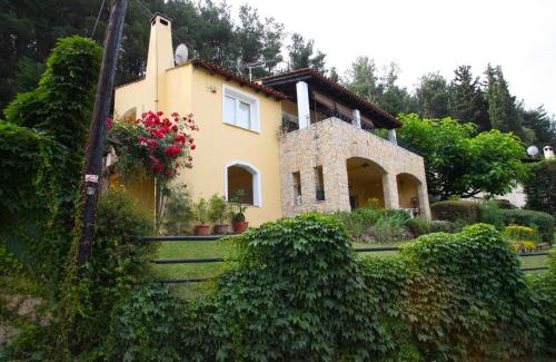 Zigos House | Six Steps From The Forest