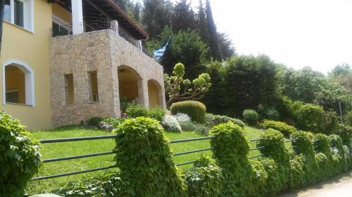 Zigos House | Six Steps From The Forest