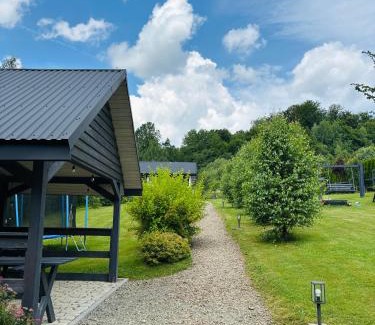 Olszanica House | Skandynawia