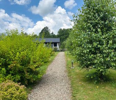Olszanica House | Skandynawia