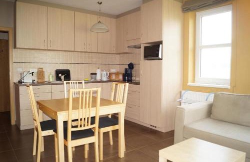 Loucna Pod Klinovcem Apartment | Ski Apartmán Salomon