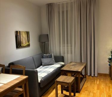 Kopaonik Apartment | SKI GONDOLA & FREE PARKING apartment