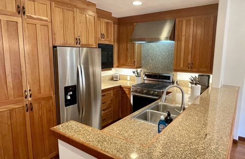 Mountain Village Condo | Ski in/Ski Out Luxury Condo in the Core of Mountain Village Telluride