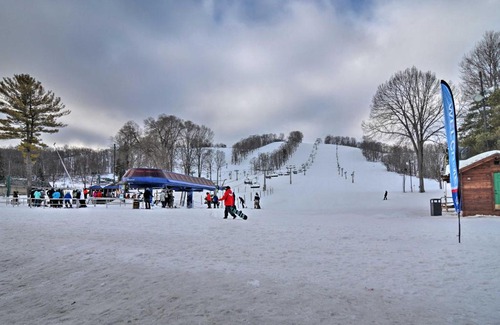Boyne Falls Apartment | Ski-InandSki-Out Boyne Mountain Resort Rental!