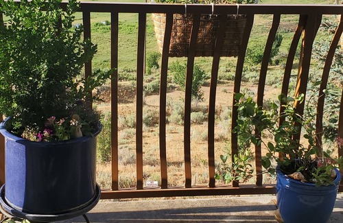 Midway Condo | SKI, Sundance Film Festival/Beautiful Views-family friendly