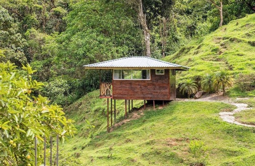 Tayutic Ski Chalet | Sky Lodge: Unforgettable Views & Private Secluded Gem In Cloud Forest