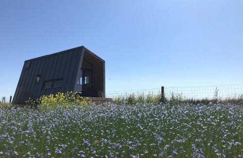 Kraggenburg Apartment | Slapen op de Dijk - Tiny House