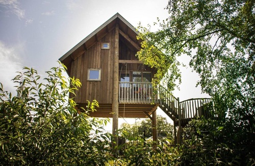 Zuna Cabin | Sleeping at 4 meters height, with beautiful views of the Regge!