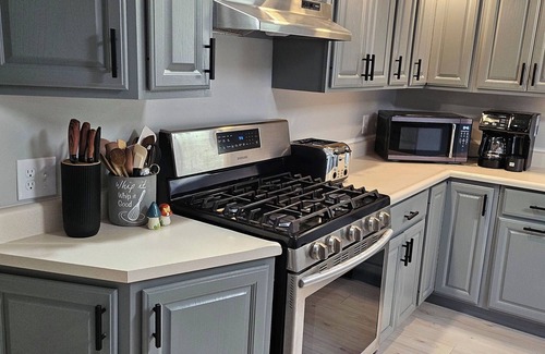 Canaan Valley House | Sleeps 10 in Thomas. Walk to Purple Fiddle Close to Davis &Canaan Dog Friendly