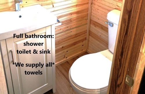 Lansing Hotel | Sleeps up to 2, electric, water, kitchenette, full bathroom, air conditioned/heated
