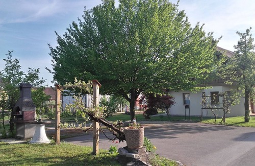 Radomlje Apartment | SLOVENIA RESORT APARTMENTS & ROOM