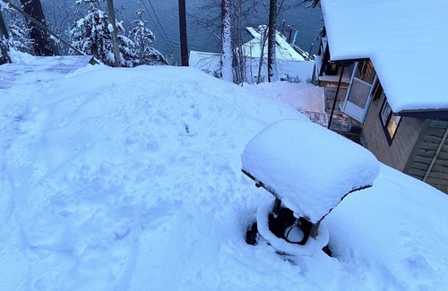 Nelson Cabin | Small Cabin with gorgeous view and lake access
