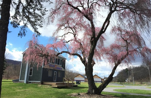 Port Matilda Cabin | Small Family Suite