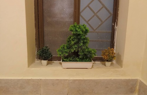Multan House | Small Furnished Home With One Large Bedroom