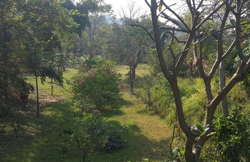 Bang Sare House | Small holiday home in a park, for wintering or relaxing