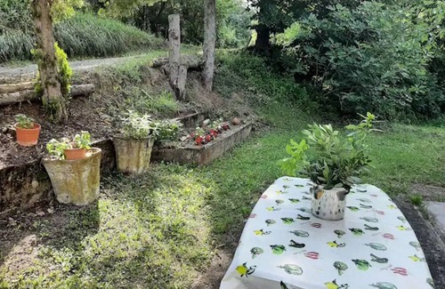 Orbregno House | Small house immersed in the silence of the woods