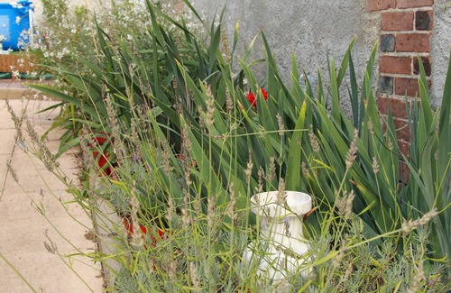 Chateau-Renault House | Small house in a quiet garden