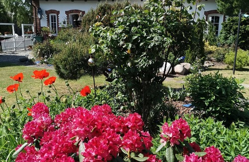 Polchow Apartment | Small vacation cottage - lovingly managed pension in Neddesitz on Rügen