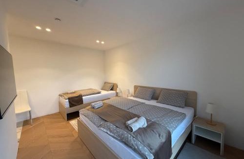 Ptuj Villa | Smart & Wellness Villa