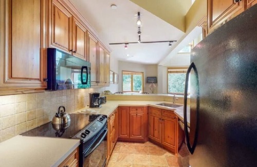 Snowmass Village Condo | Snowmass Village | 3 Bedroom | Ski-In, Ski-Out