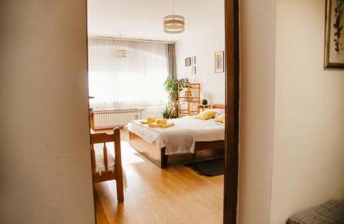 Slavonski Brod House | Soba Gloria