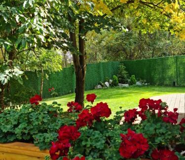 Sofia Apartment | Sofia Town House, FREE PARKING