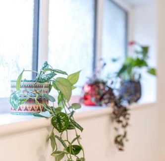 Bordon Apartment | Soho House in Bordon