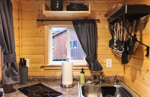 Forks Cabin | Sol Duc Den-West, A tiny cabin with big adventures