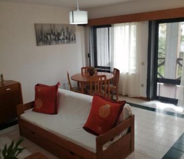 Sao Tiaguinho Apartment | Solares do vouga