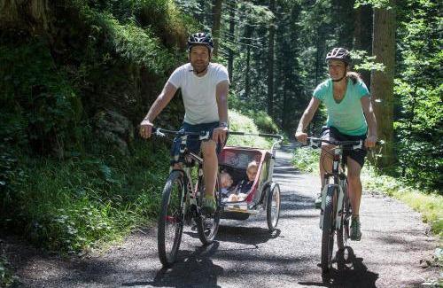 Flims Hotel | Soldanella by Hotel Adula