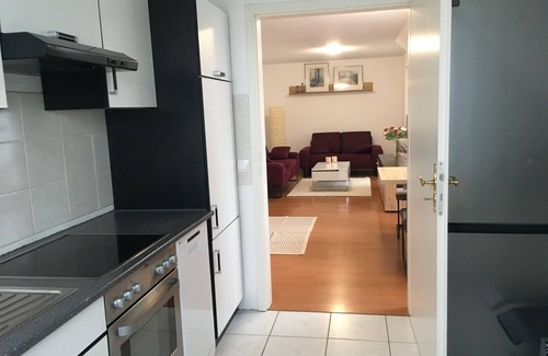 Rohrbach am Gießhubel Apartment | Sonnige Wohnung mit Balkon