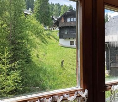 Sonnleitn Apartment | Sonnleitn AlpinWell Appartment (Ski in&out + Wellness)