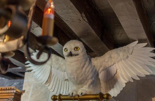 Le Bon Sauveur Apartment | Sorcier Magique & Expérience Immersive