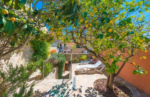 Campanet House | Sotio