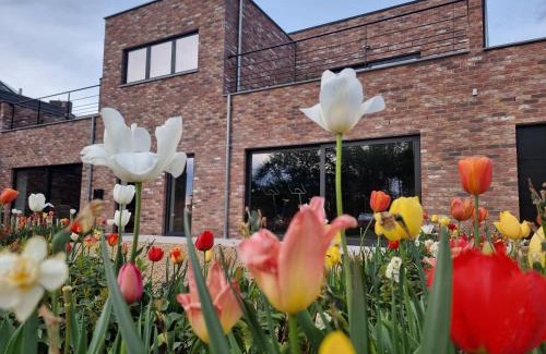 Baisy-Thy Bed & Breakfast | Sous la Houlette, Suites, Piscine intérieure et Sauna