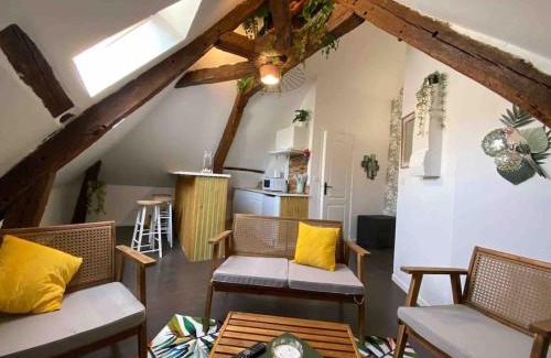 Ablis Apartment | Sous les tropiques d’Ablis