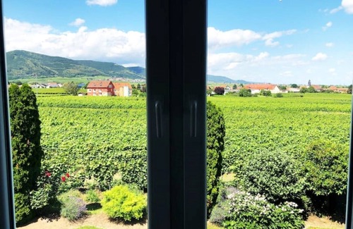 Bochingen Apartment | South Palatinate vacation apartment with distant views, German Wine Route