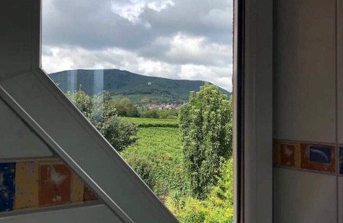 Bochingen Apartment | South Palatinate vacation apartment with distant views, German Wine Route