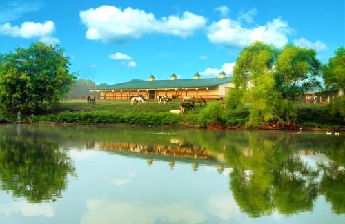 Madison Resort | Southern Cross Guest Ranch